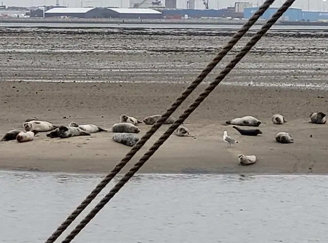 Det Bla Gaestehus Hotel *