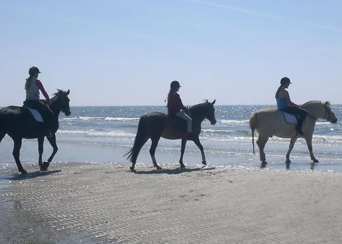 Det Bla Gaestehus Hotel