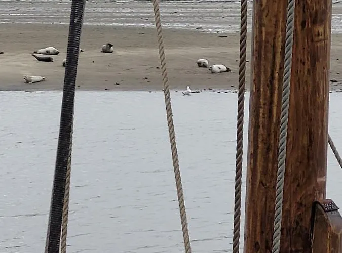 Hotel Det Bla Gaestehus *